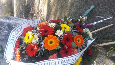 Ръководството на "Пирогов" положи венци на паметните плочи на Пирогов в гр. Плевен и гр. Пордим